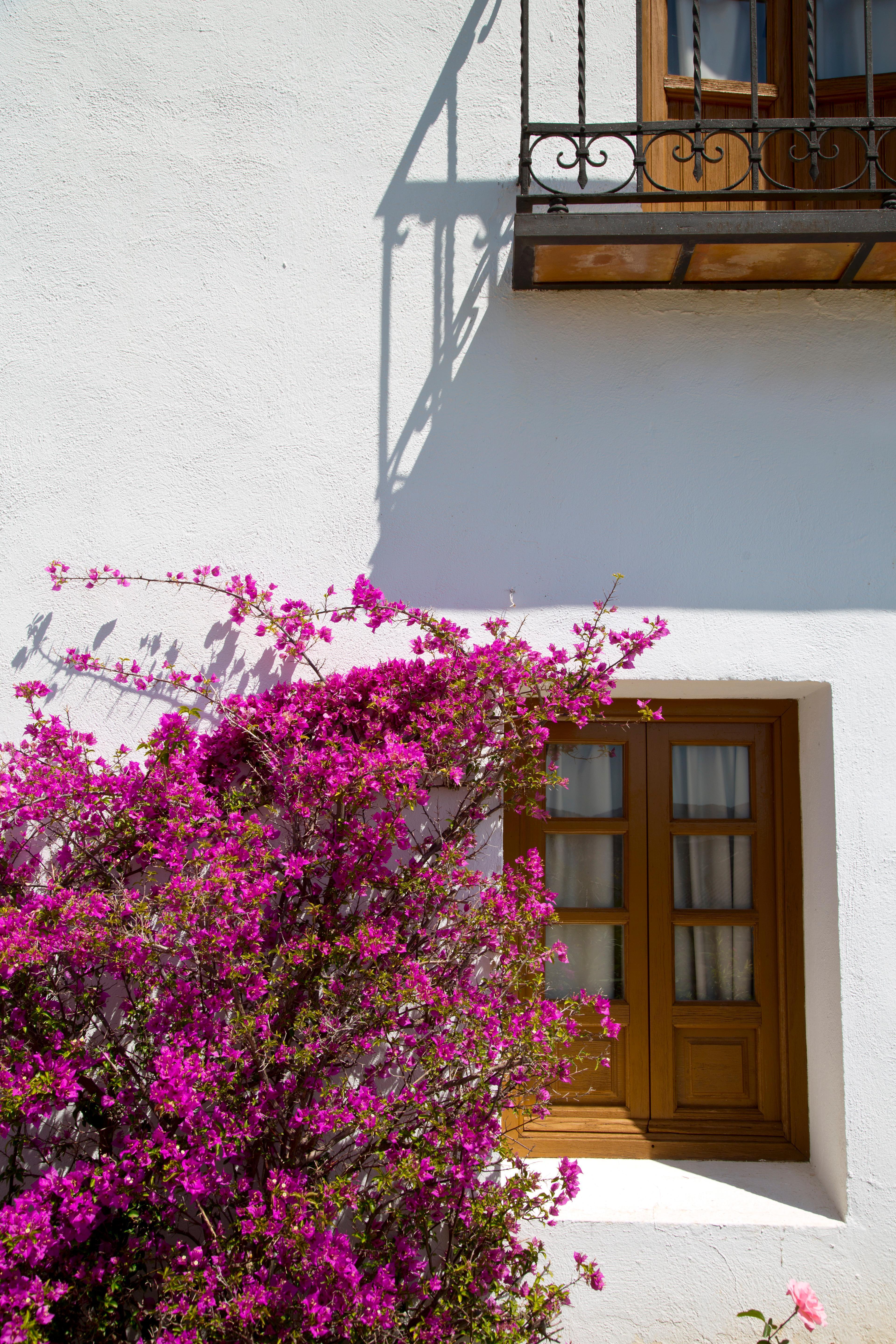 Villa Turistica De Priego Priego De Cordoba Bagian luar foto